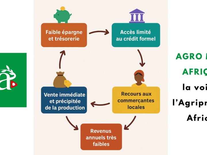 TOGO : le cercle vicieux des petits producteurs agricoles 