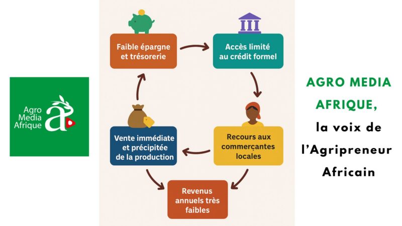 TOGO : le cercle vicieux des petits producteurs agricoles 