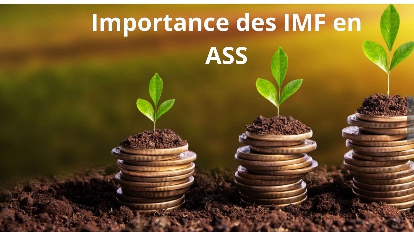Microfinance : un levier de développement en ASS