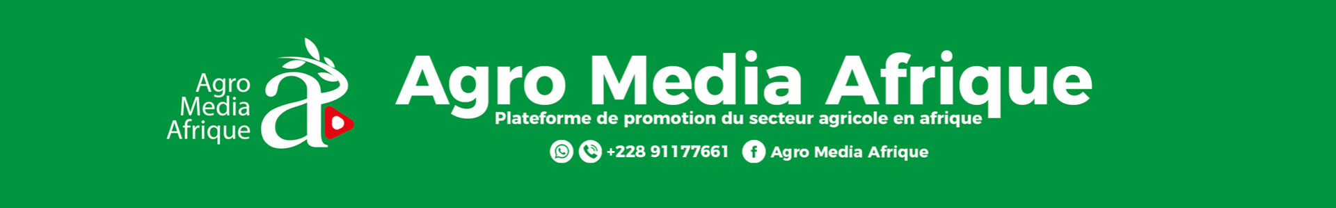 AGRO MEDIA AFRIQUE