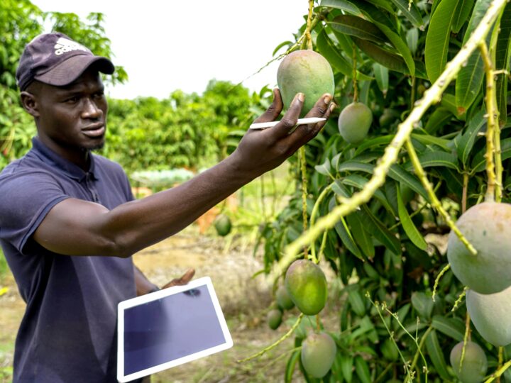 SIMA : instrument stratégique d&rsquo;échanges des produits agricoles