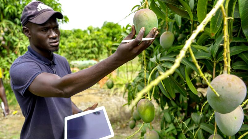 SIMA : instrument stratégique d&rsquo;échanges des produits agricoles