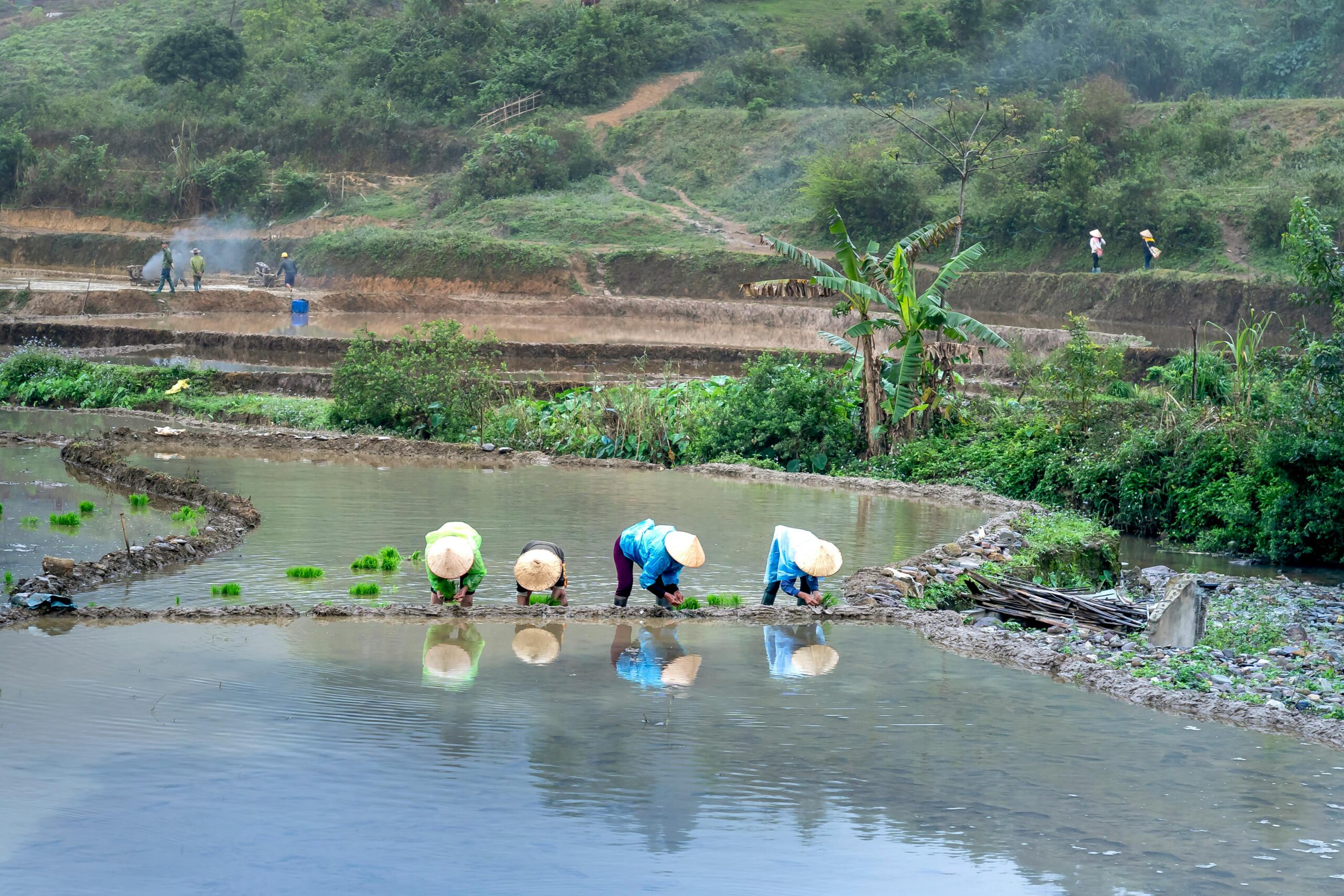 La maîtrise de l’eau : une obligation pour l’agriculture africaine