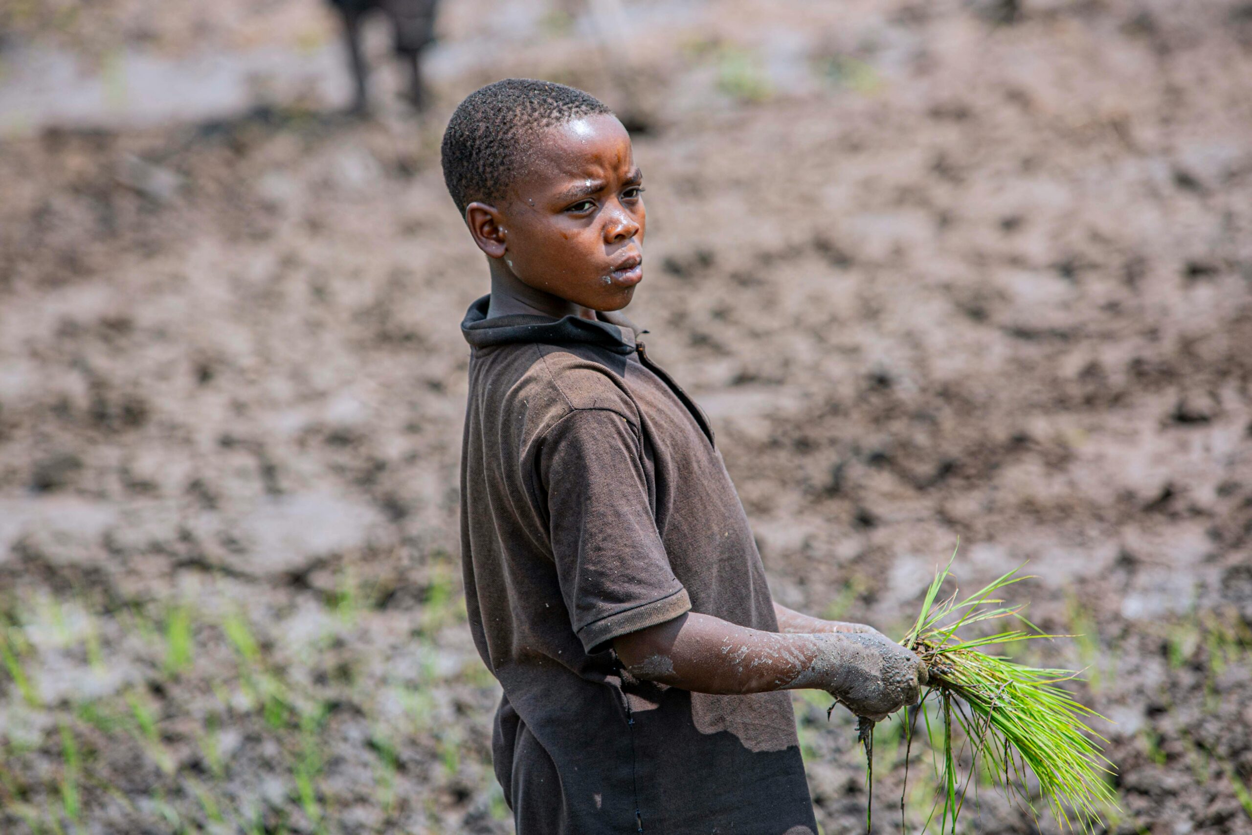 La jeunesse africaine : un levier de transformation agricole en Afrique