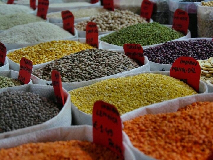 La filière semencière au Togo: quel avenir ?