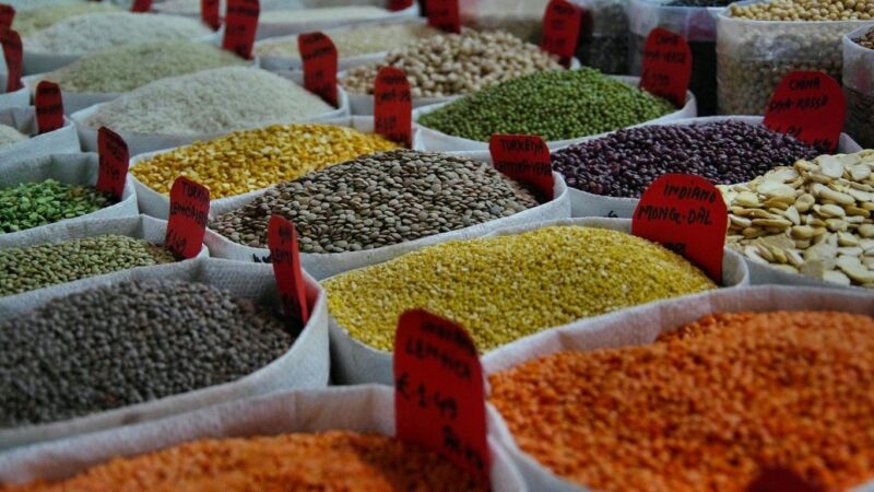 La filière semencière au Togo: quel avenir ?